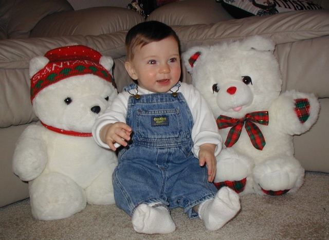 Hildebrand Christmas ScreenSaver/640x480_2001-12 Red White & Blue Christmas 10.jpg